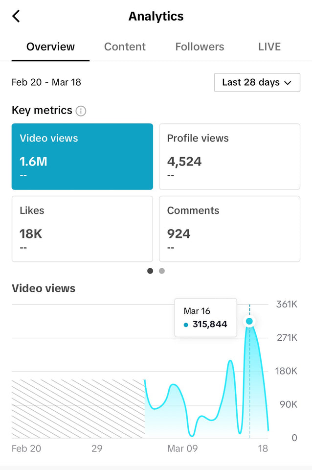 Tiktok Monetization
